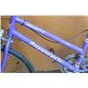 Image 2 : PURPLE SUPER CYCLE ASCENT BIKE
