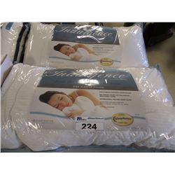 2 INDULGENCE SIDE SLEEPER PILLOWS