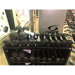 6 - 10LBS DUMBBELLS, 2 - 8LBS DUMBBELLS & 4 - 5LBS DUMBBELLS