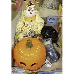 LARGE FLAT W/HALLOWEEN ITEMS - ELECTRIC