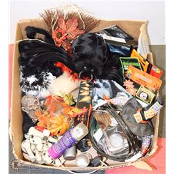 LARGE BOX W/HALLOWEEN DECOR INCL.