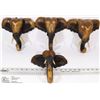 Image 1 : LOT OF FOUR 8.5" MINI WOOD ELEPHANT HEADS