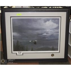 33X40 DUCKS UNLIMITED SIGNED MICHAEL PAPE PICTURE