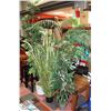 Image 1 : LOT OF 6 DECORATIVE SHOWHOME SILK PLANTS,