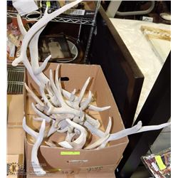 LOT OF ASSORTED ELK, DEER SHEDS (HORNS)