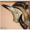 Image 1 : FLAT OF 4 BULL HORNS.