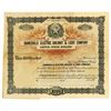 Image 1 : Gainesville Electric Railway & Light Co., ca.1900-1910 Specimen Stock Certificate