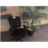 Image 1 : RECEPTION AREA ITEMS INC. MESH BACK CHAIR AND PLANT