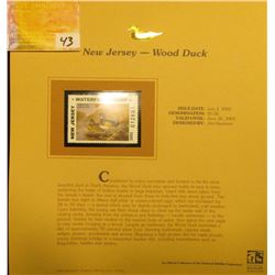 2002 New Jersey Waterfowl Stamp $5.00, Mint Condition in plastic sleeve with literature, unsigned. D