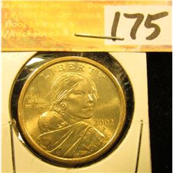 2002 P Gem Uncirculated Native American Dollar.
