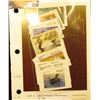 Image 1 : Complete Set of Missouri Waterfowl Stamps 1982-1996 Issues, MO4-18, unsigned Mint Condition as sold 