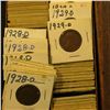 Image 2 : 3.25" x 6.5" 1 1/2" x 1 1/2" Double Row Stock Box full of Lincoln Cents dating 1928-29.