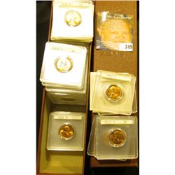 9" Brown Coin Stock Box full of Gem BU late date U.S. Wheat Cents, nearly all are Gem BU and in indi