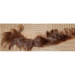 Arnold Schwarzenegger Screen Used Terminator II Hair