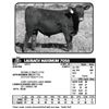 Image 1 : LAUBACH MAXIMUM 7058