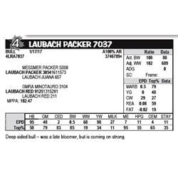 LAUBACH PACKER 7037