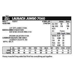 LAUBACH JUMBO 7060
