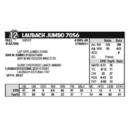 LAUBACH JUMBO 7056