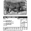 Image 1 : LAUBACH JUMBO 7118