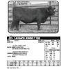 Image 1 : LAUBACH JUMBO 7188