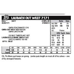 LAUBACH OUT WEST 7171