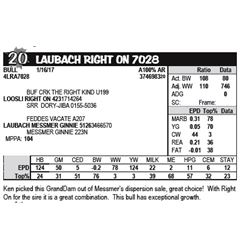 LAUBACH RIGHT ON 7028