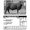 Image 1 : LAUBACH DEEP END 7057