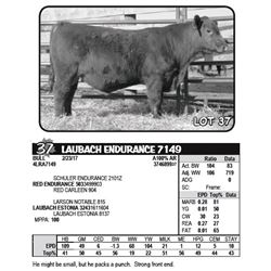 LAUBACH ENDURANCE 7149