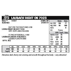 LAUBACH RIGHT ON 7023