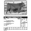 Image 1 : LAUBACH TRENDSETTER 7081