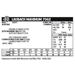 LAUBACH MAXIMUM 7062