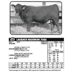 LAUBACH MAXIMUM 7086