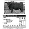 Image 1 : LAUBACH JUMBO 7127