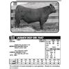 Image 1 : LAUBACH DEEP END 7047