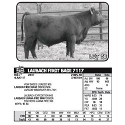 LAUBACH FIRST BASE 7117