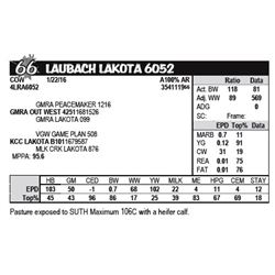 LAUBACH LAKOTA 6052