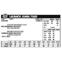 LAUBACH JUANA 7089