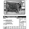 Image 1 : LAUBACH COLLEEN 7095