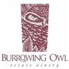 Image 1 : Double Magnum 2014 Athene valued at $450 from Burrowing Owl Estate Winery