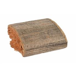 John F. Kennedy: Grassy Knoll Fence Fragment