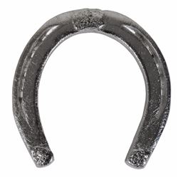 John F. Kennedy Funeral Horseshoe