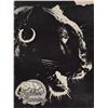 Image 1 : Lynyrd Skynyrd