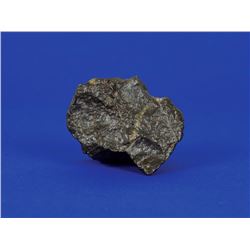 Northwest Africa Lunar Meteorite