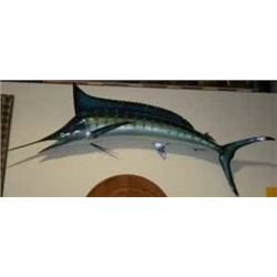 SWORDFISH 9' LONG