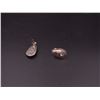 Image 1 : White Buffalo Silver Earrings