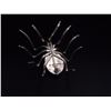 Image 2 : Spider Pin, Silver and Onyx