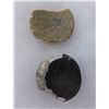 Image 2 : 2 California Ear Spools