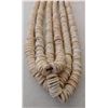 Image 2 : African Shell Necklace