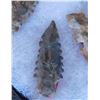 Image 8 : Serrated Point Collection