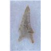Image 10 : Paleo & Archaic Ohio Collection